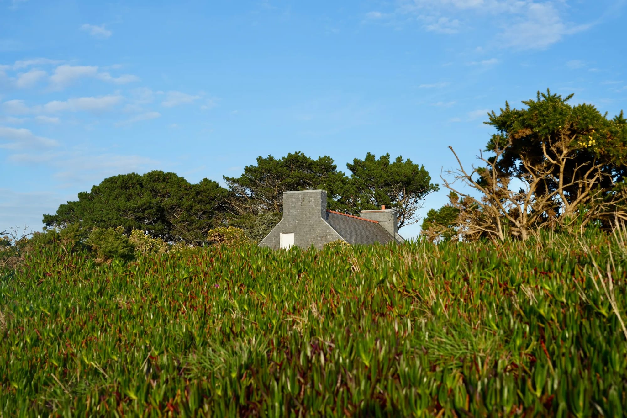DSC02654