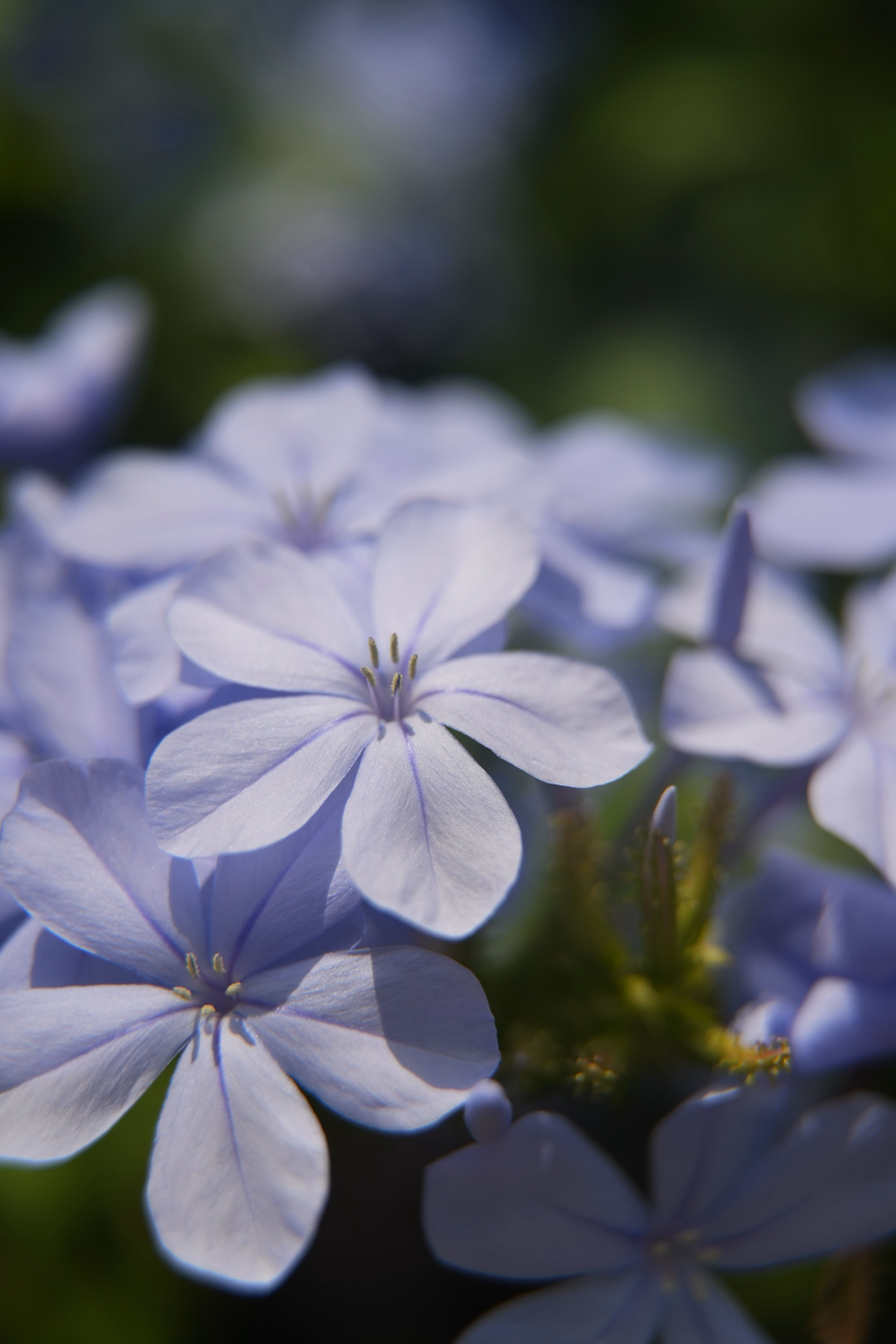 Fête foraine 14