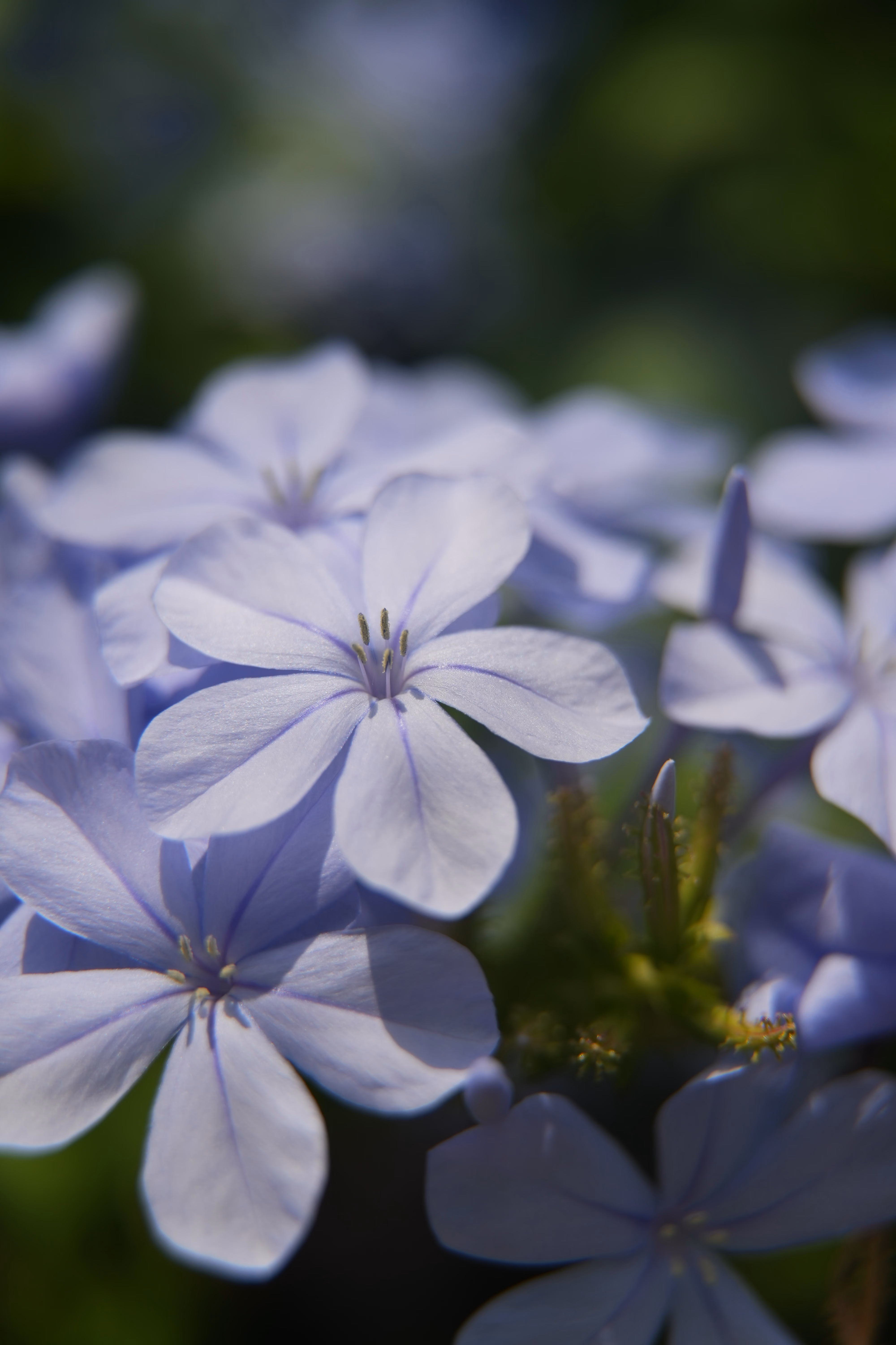 Fête foraine 15