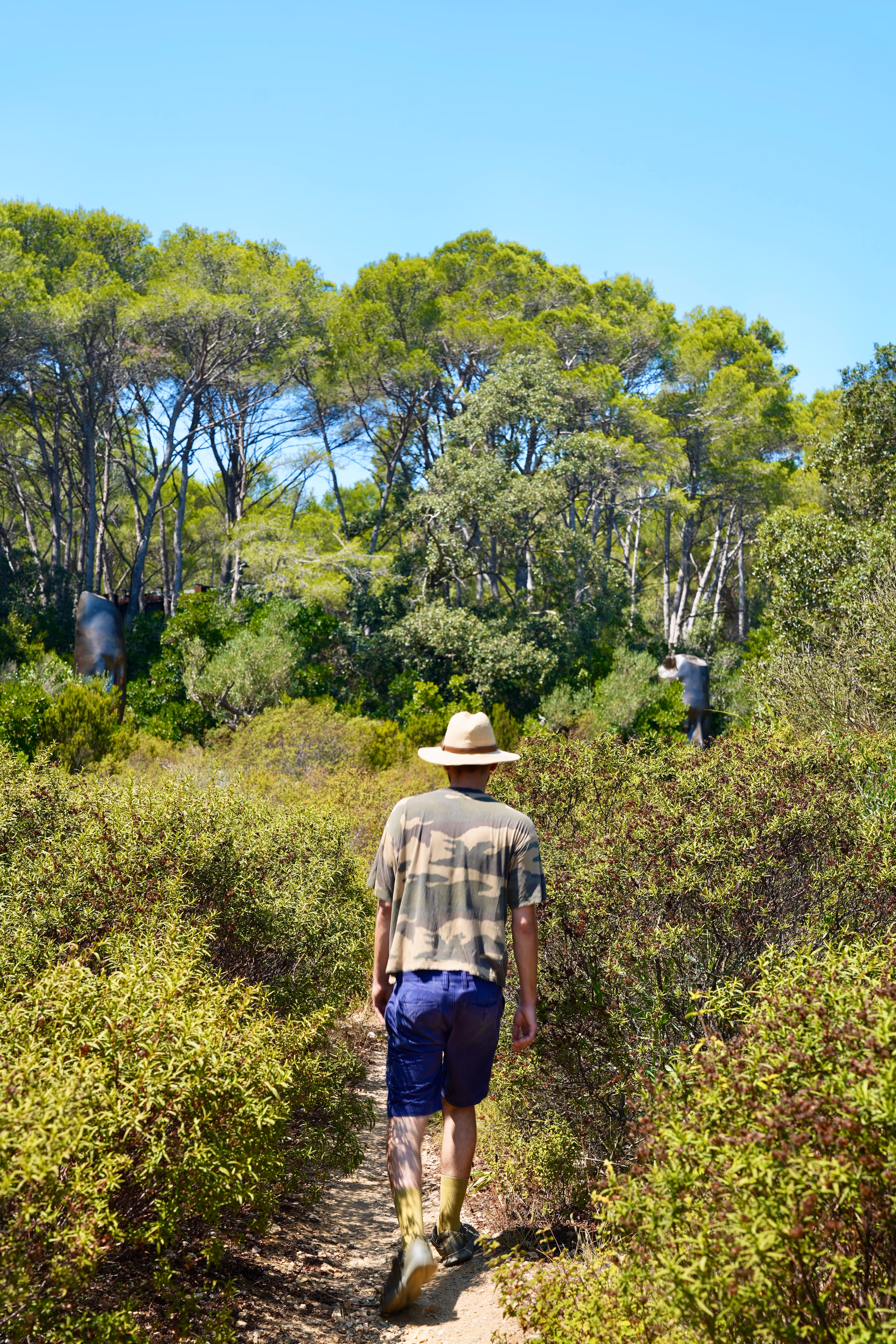 Porquerolles 53