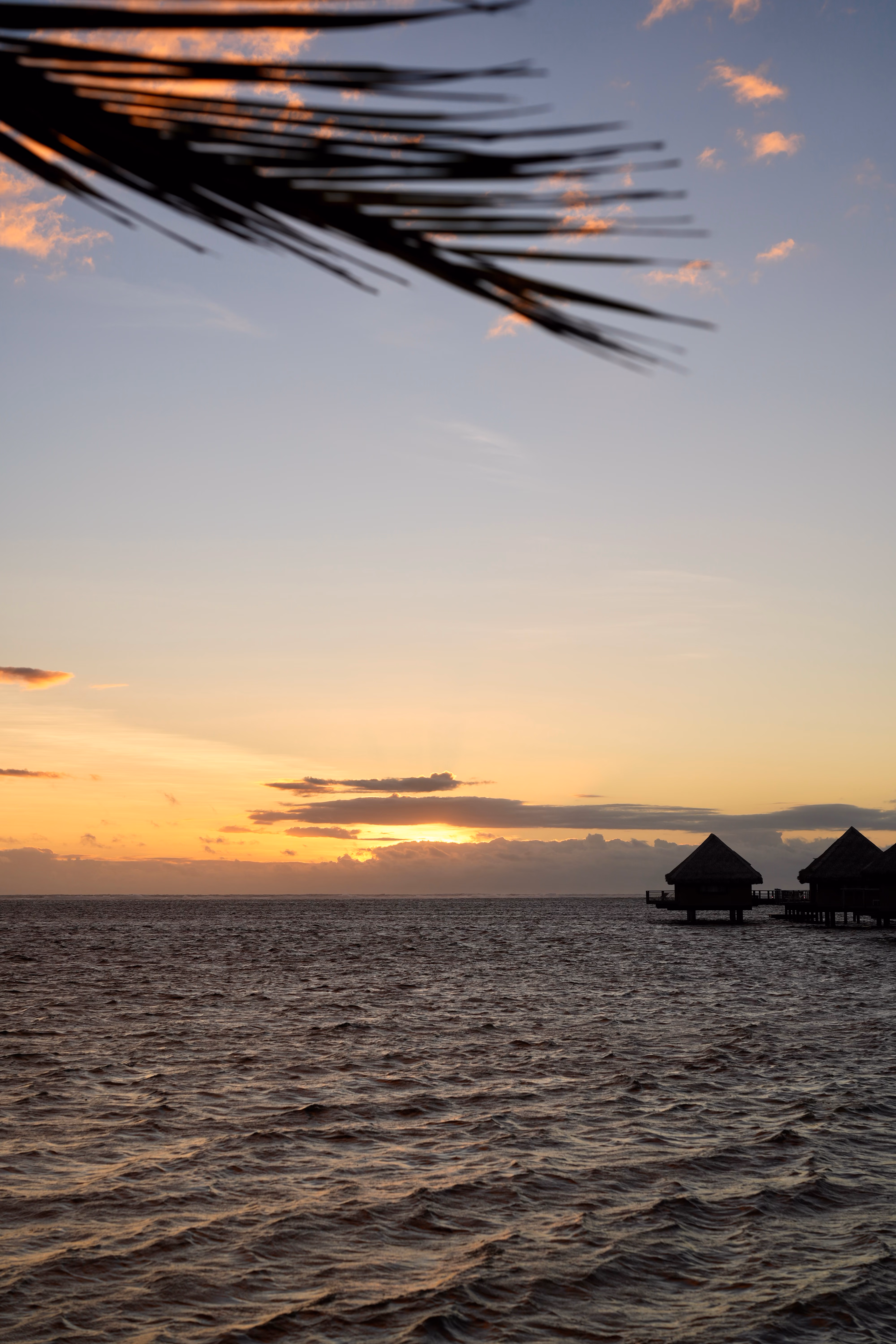 Tahiti J1 fin 3