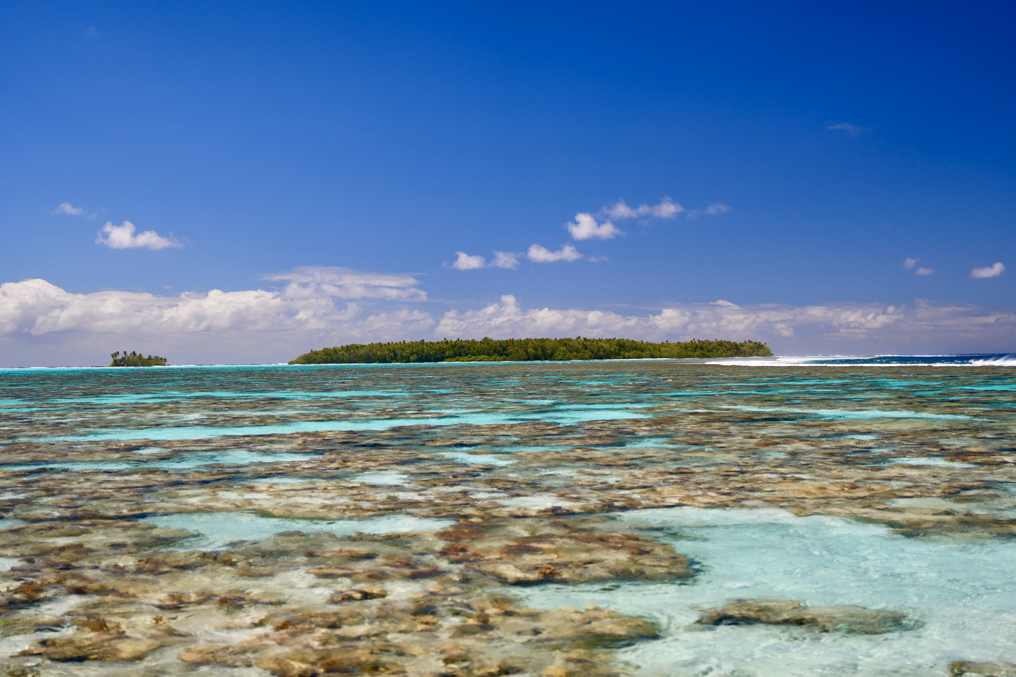 Tetiaroa 1er jour 5