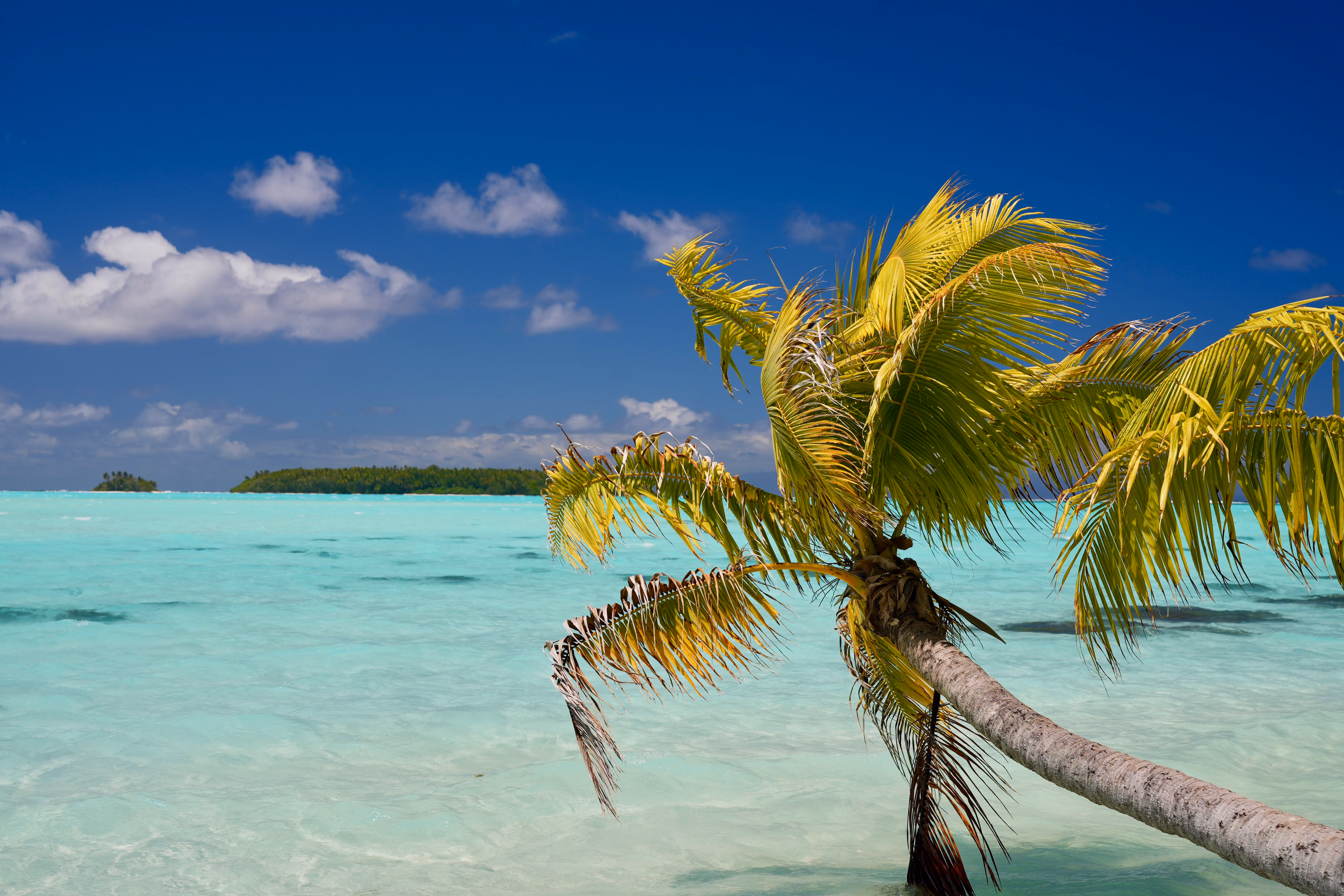 Tetiaroa 1er jour 12