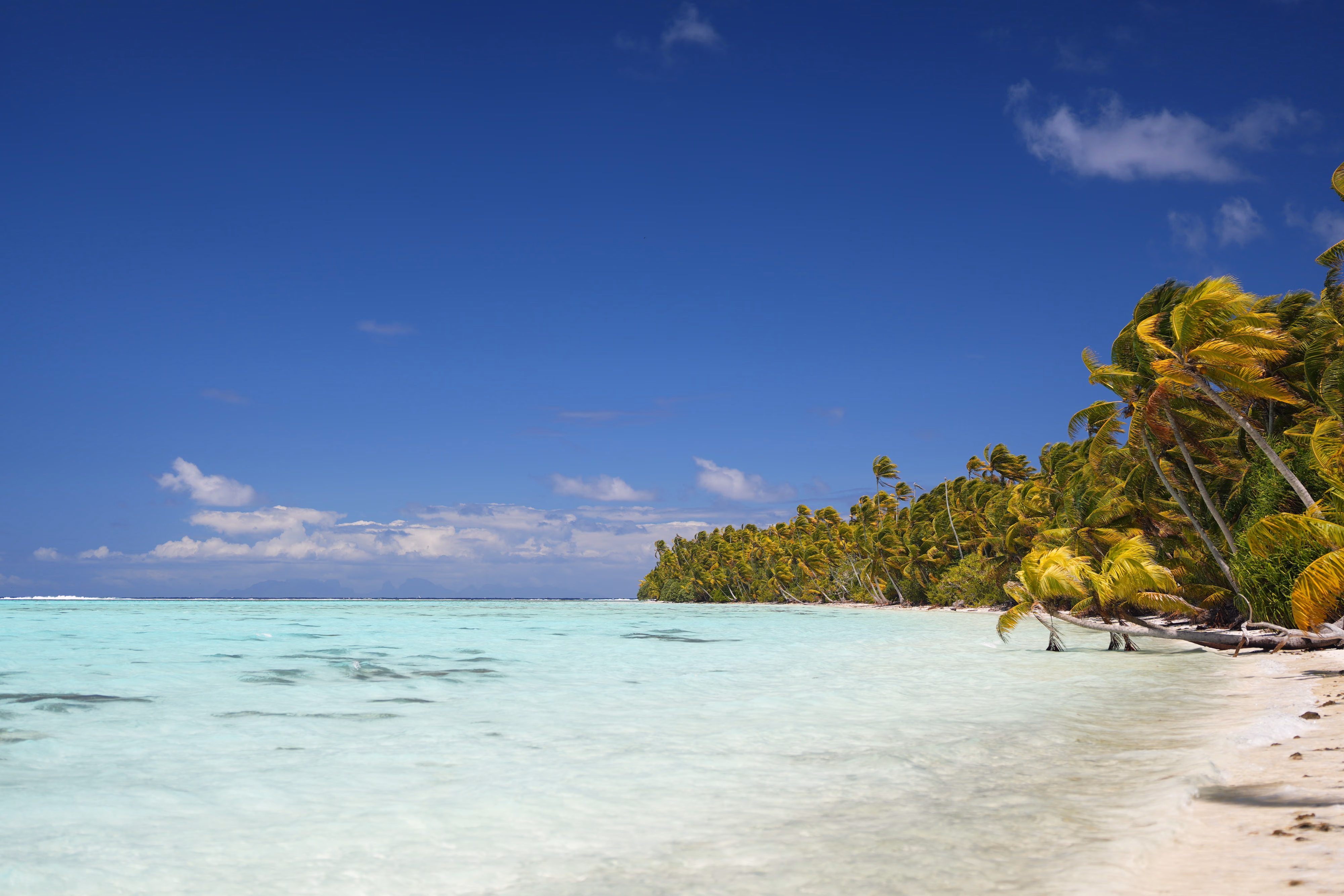 Tetiaroa 1er jour 14
