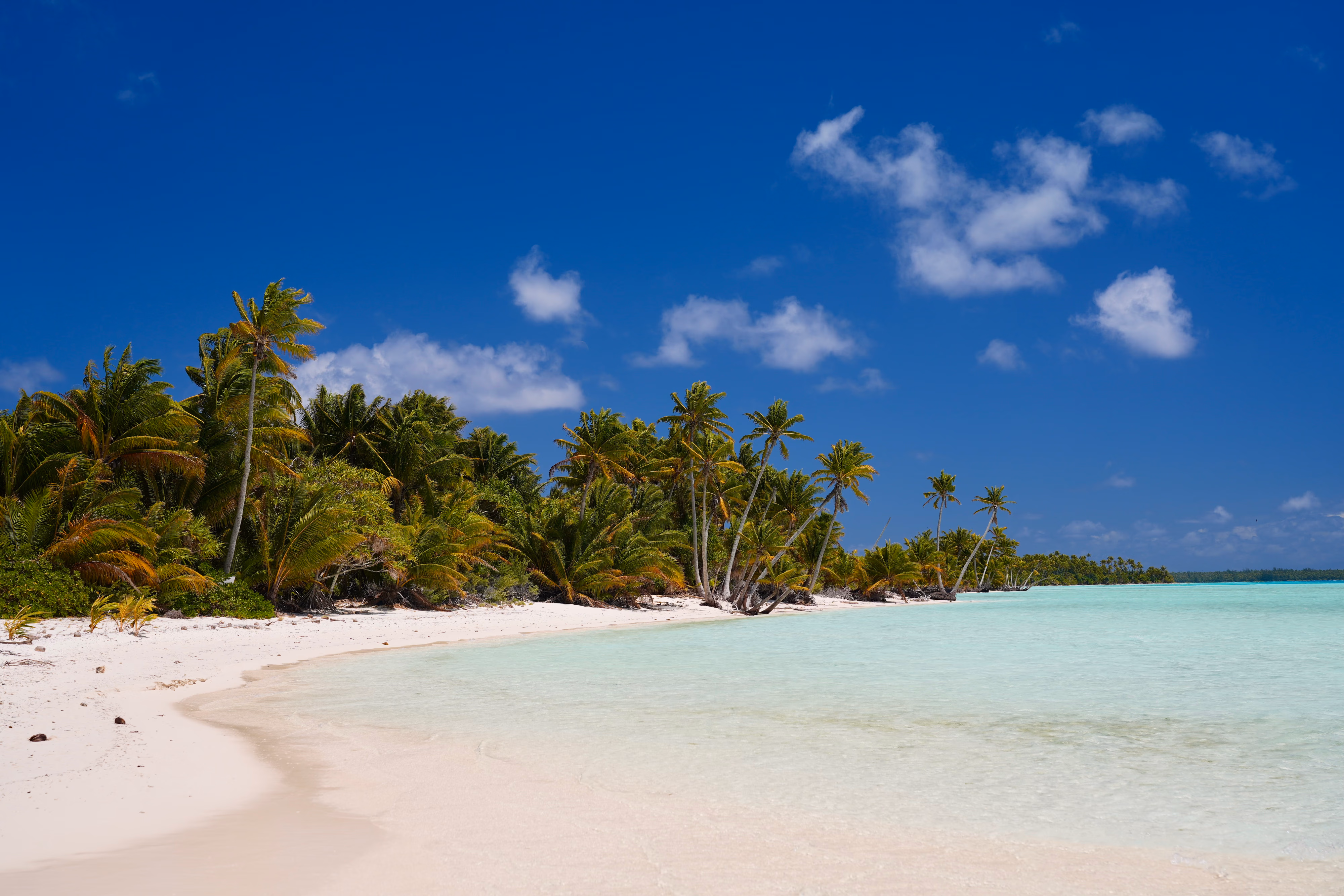 Tetiaroa 1er jour 16