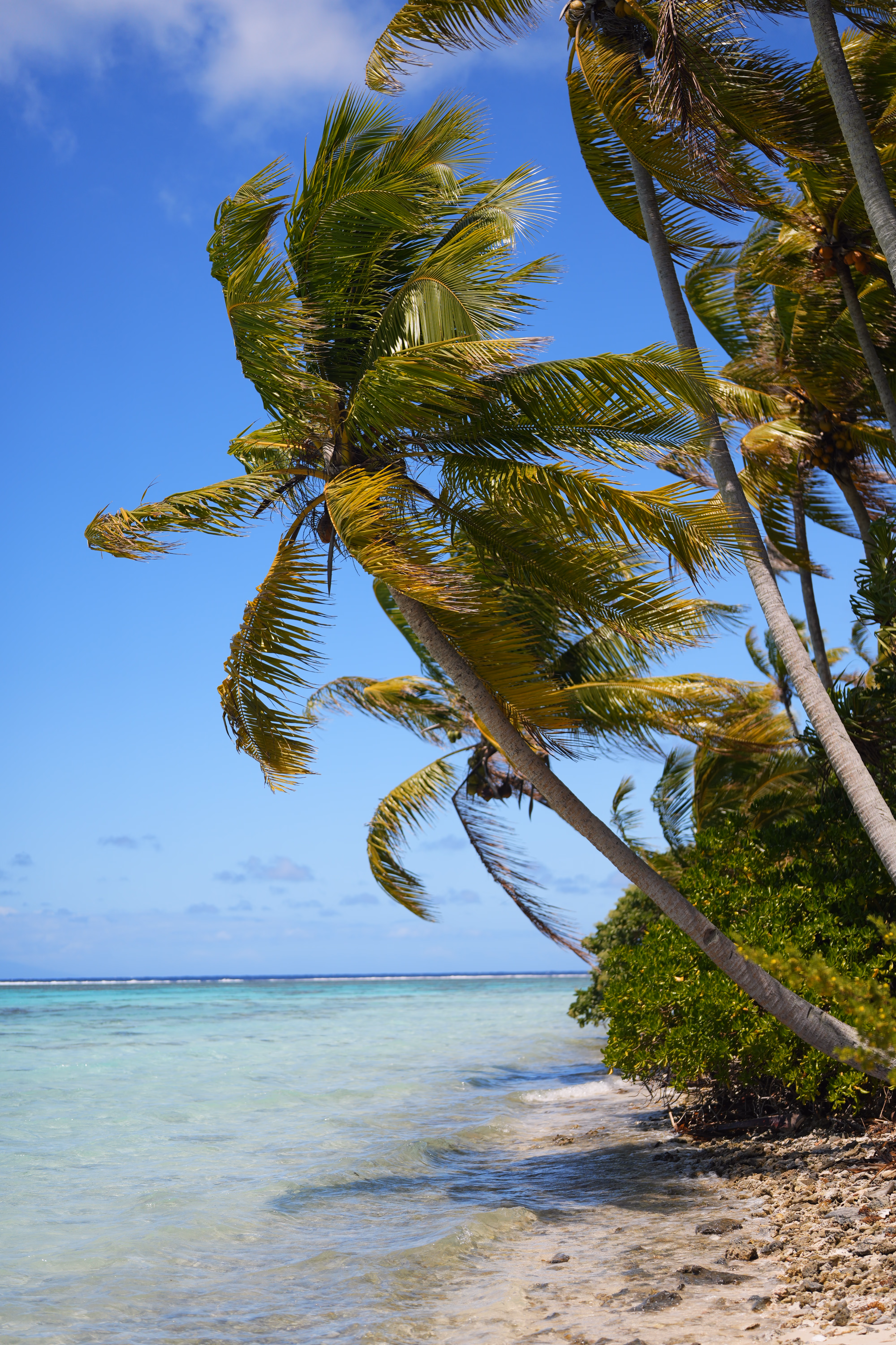 Tetiaroa 1er jour 10