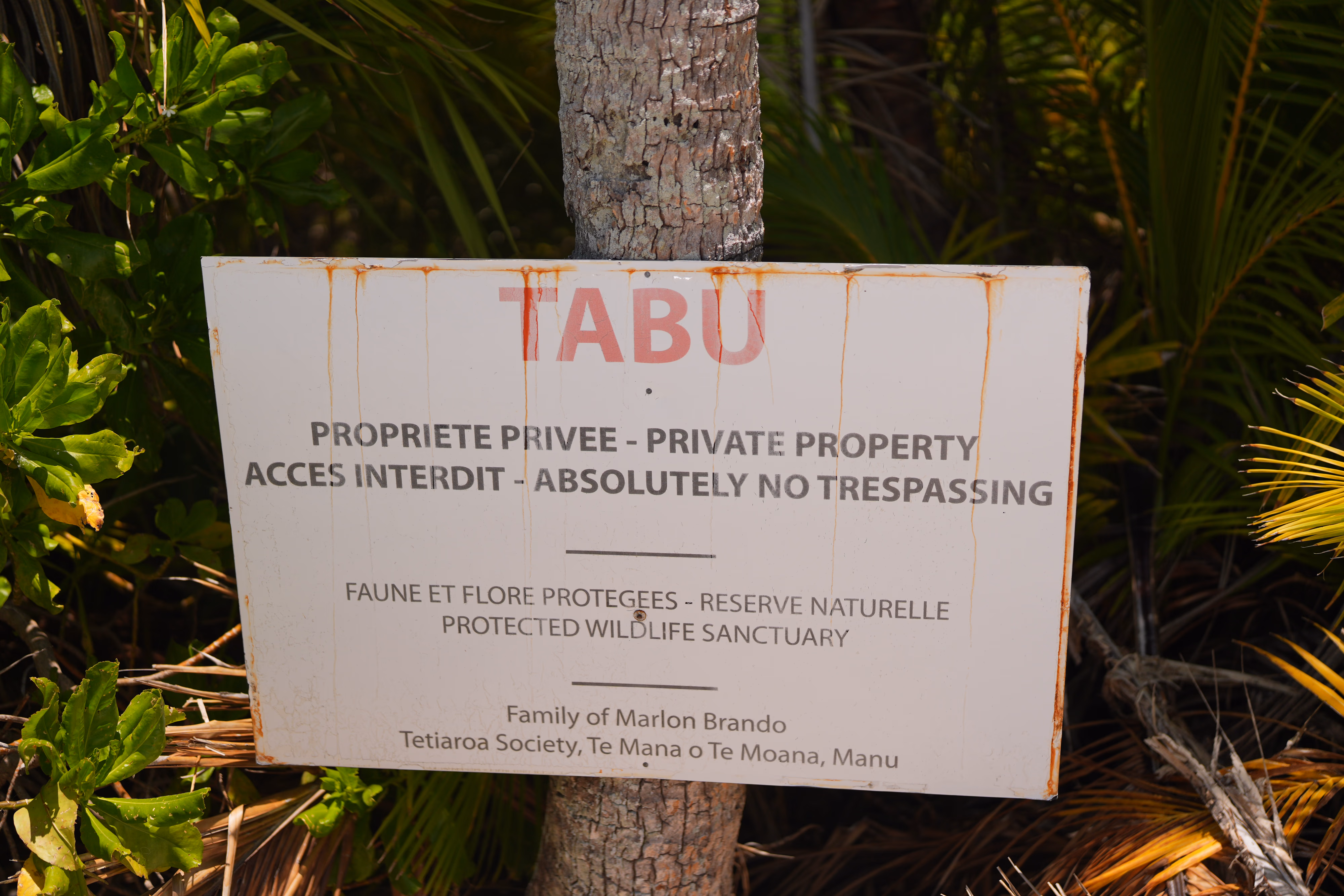 Tetiaroa baignade 5