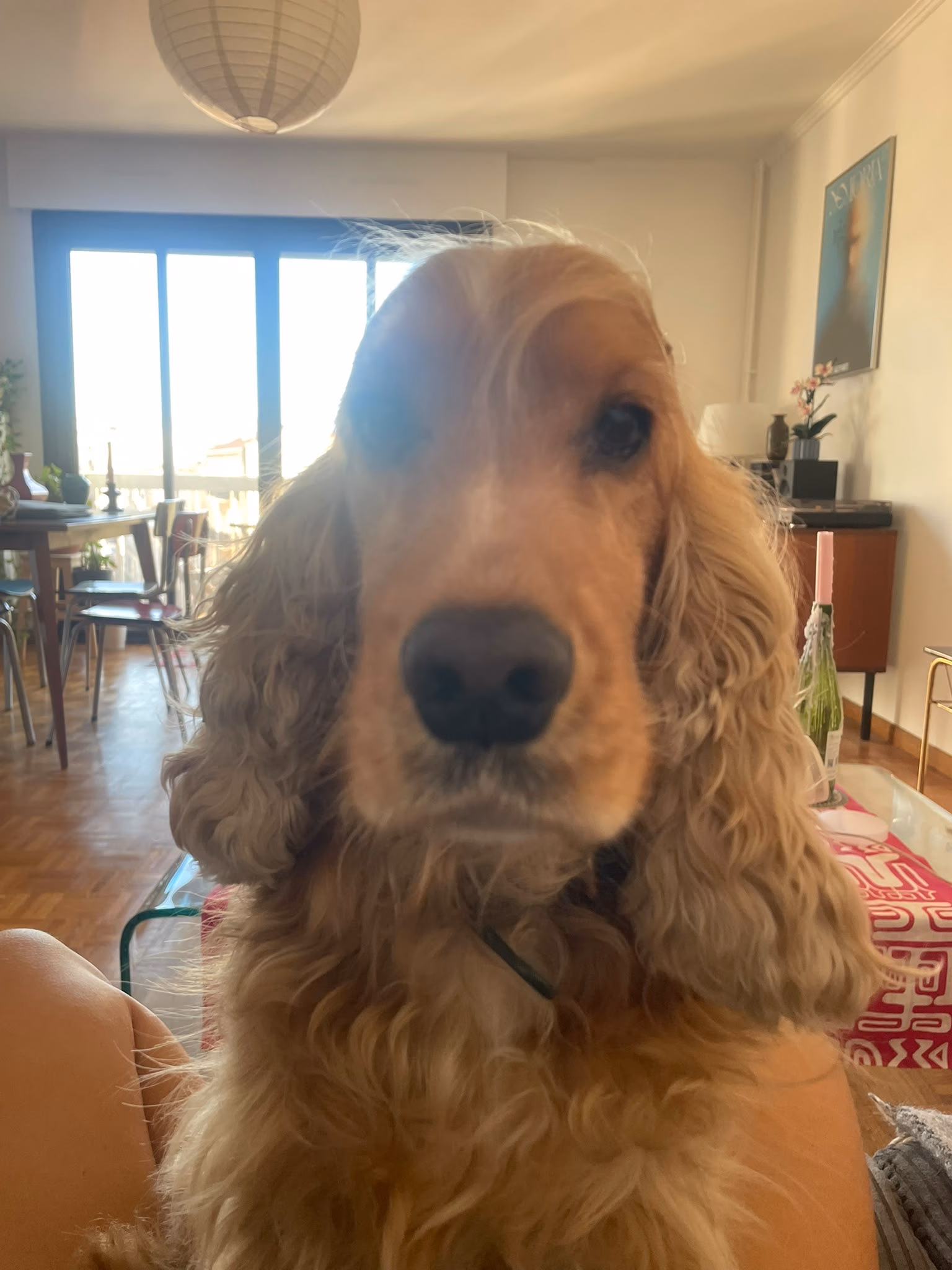 Otto 1ere semaine 1
