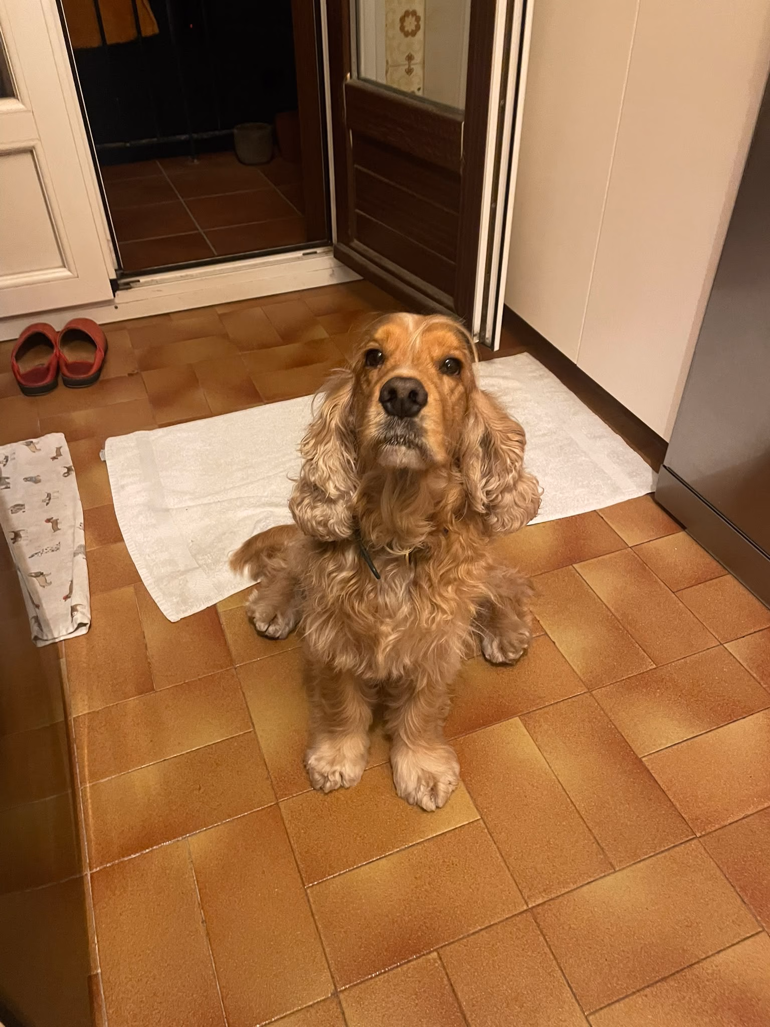 Otto 1ere semaine 2