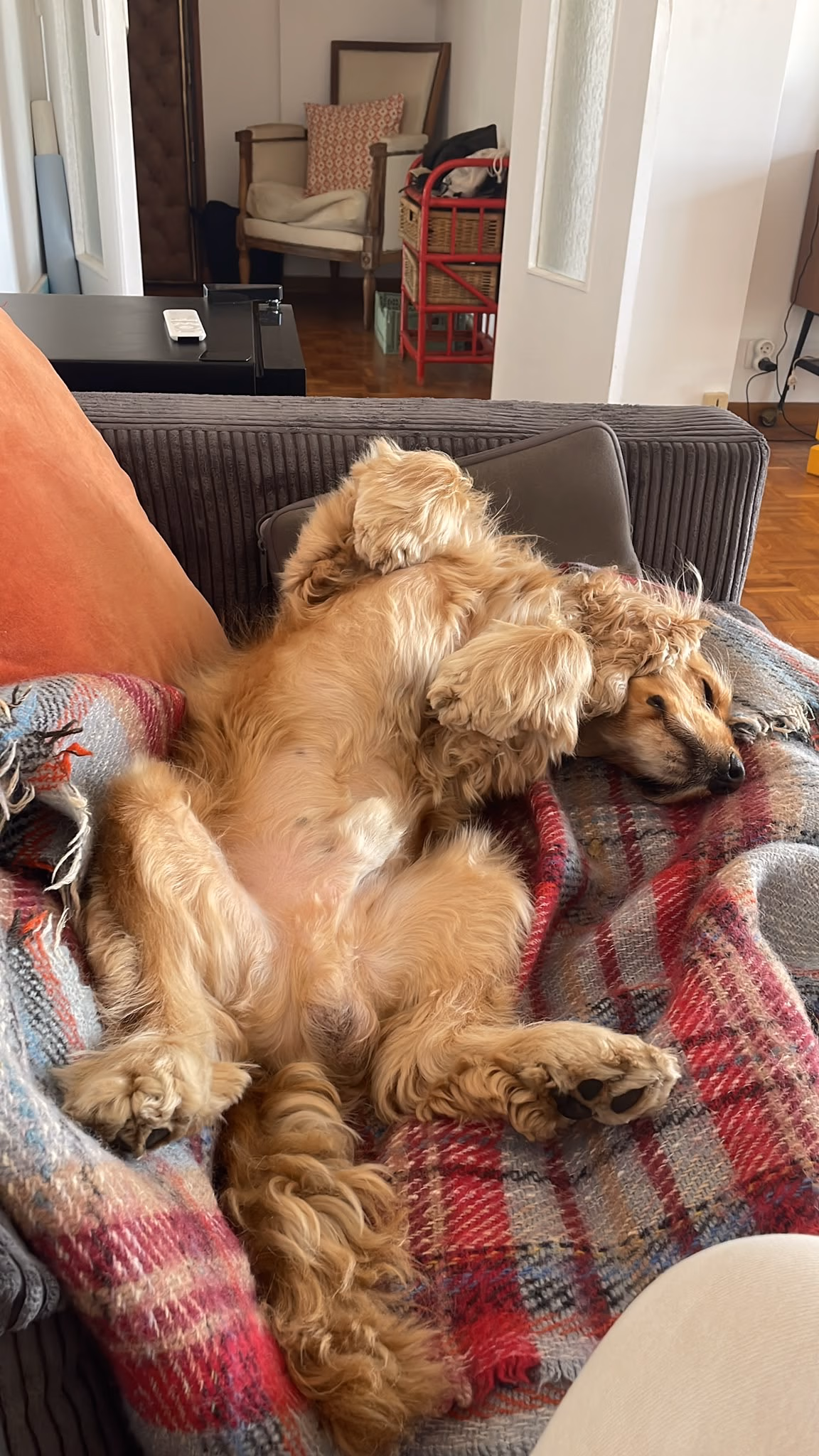 Otto 1ere semaine 3